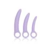 CalExotics Alena Set Of 3 Dilators Purple