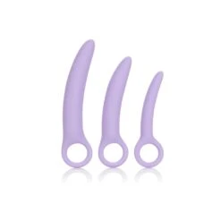 CalExotics Alena Set Of 3 Dilators Purple