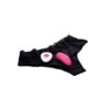 XR Brands FR Playful Panties 10x Panty Vibe With Remote Control