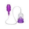 CalExotics Intimate Pump Purple