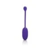 CalExotics Recharg. Kegel Ball Starter Purple