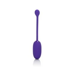 CalExotics Recharg. Kegel Ball Starter Purple