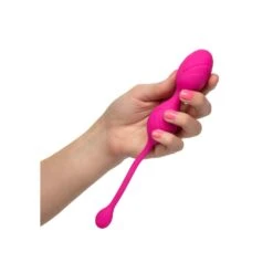 CalExotics Remote Dual Motor Kegel System Pink -Sexspielzeug remote dual motor kegel system pink3