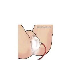 Blush TEMPTASIA INTENSE PUSSY PUMP SYSTEM -Sexspielzeug temptasia intense pussy pump system3