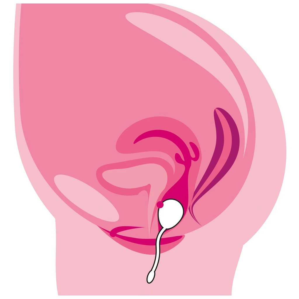 Training Pleasure Balls RC Love Ball 8 Training Pleasure Balls RC Love Ball – Bild 8