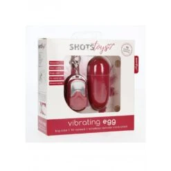 Sexspielzeug -Sexspielzeug vibrating egg with 10 speeds and remote control2