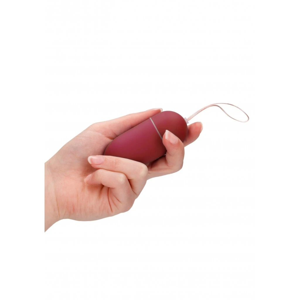 Vibrating Egg With 10 Speeds And Remote Control 9 Vibrating Egg With 10 Speeds And Remote Control – Bild 9